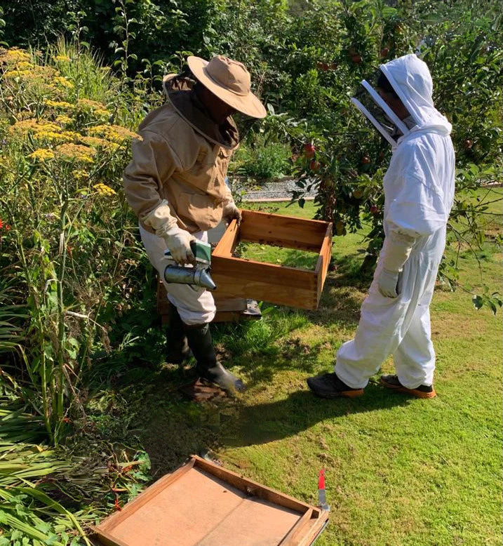 Bee Experience - 23 September