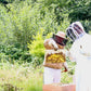 Bee Experience - 18 June